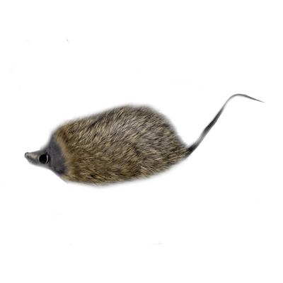 Mouse Judy (dark)